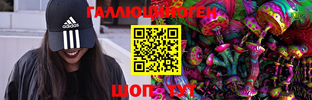 Псилоцибиновые грибы Psilocybe Самара