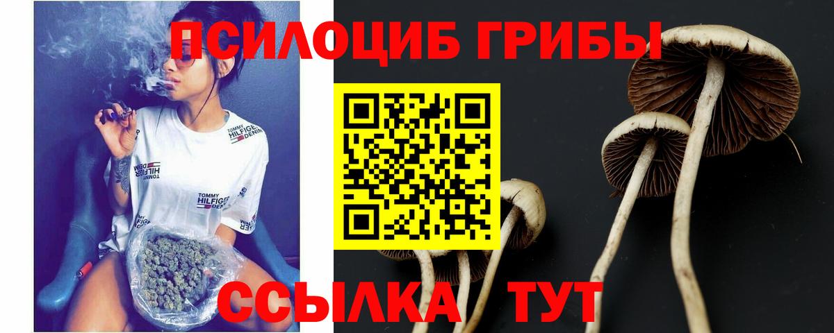 Галлюциногенные грибы Magic Shrooms  Вход с VPN  Самара  Галлюциногенные грибы прущие грибы 
